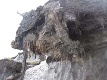 El mamut Yuka emergiendo del permafrost siberiano en 2010, en el yacimiento de Oyogos Yar, en el noreste de Siberia. El mamut Yuka emergiendo del permafrost siberiano en 2010, en el yacimiento de Oyogos Yar, en el noreste de Siberia.