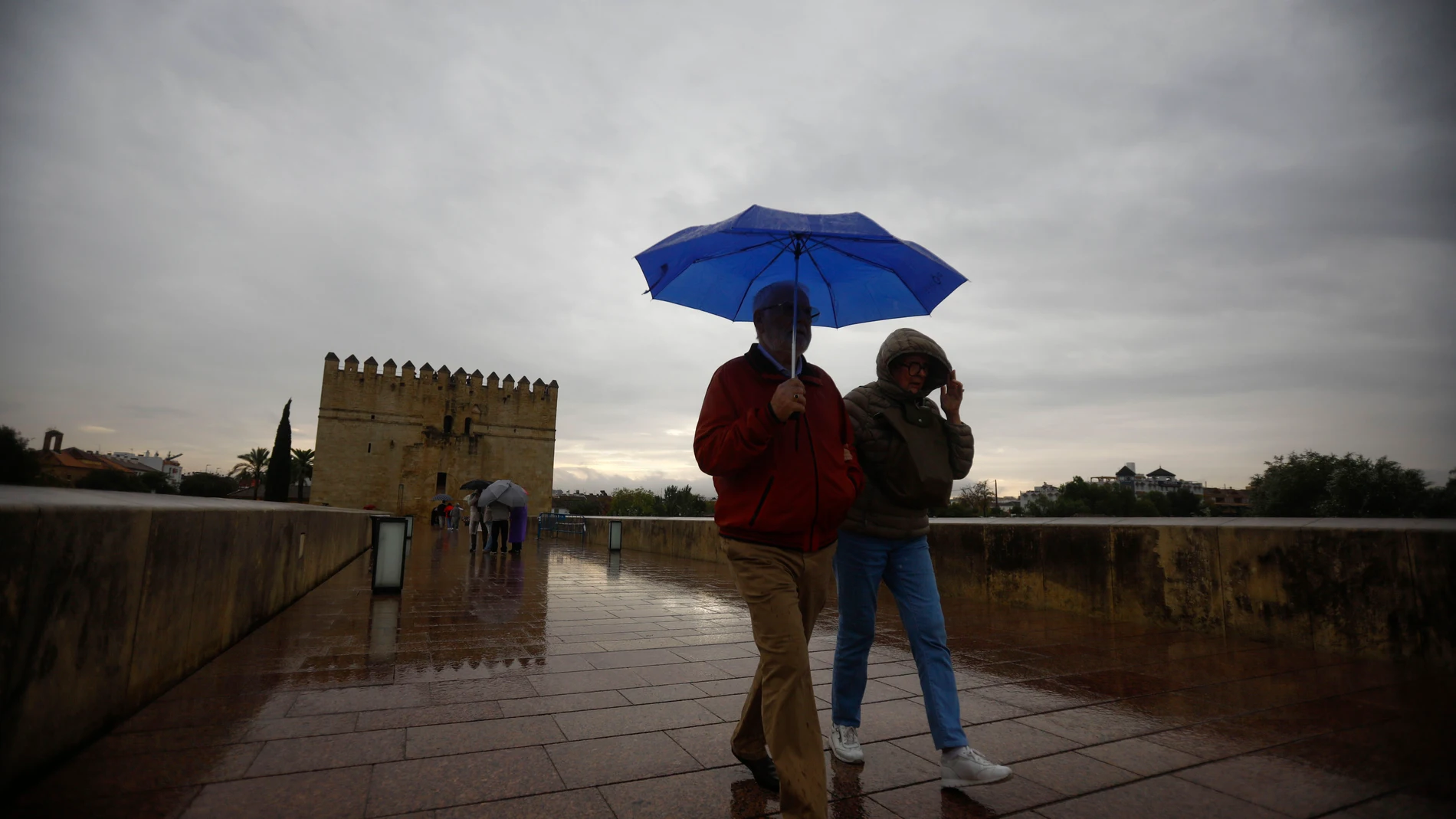CÓRDOBA (ESPAÑA), 14/11/2025.- Unas personas tratan de protegerse de la lluvia y de las rachas de viento este viernes en Córdoba por el paso de la borrasca Claudia. EFE/Salas