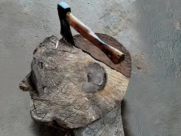 El nuevo odio a los judíos El nuevo odio a los judíos