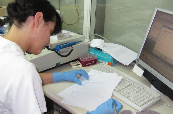 MURCIA.-El salario medio bruto en la Región en 2024 alcanzó los 2.120,9 euros, el segundo más bajo de las CCAA MURCIA.-El salario medio bruto en la Región en 2024 alcanzó los 2.120,9 euros, el segundo más bajo de las CCAA