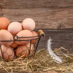 Qué tipos de huevos hay y cuáles tienen más posibilidades de verse afectados por la Gripe Aviar