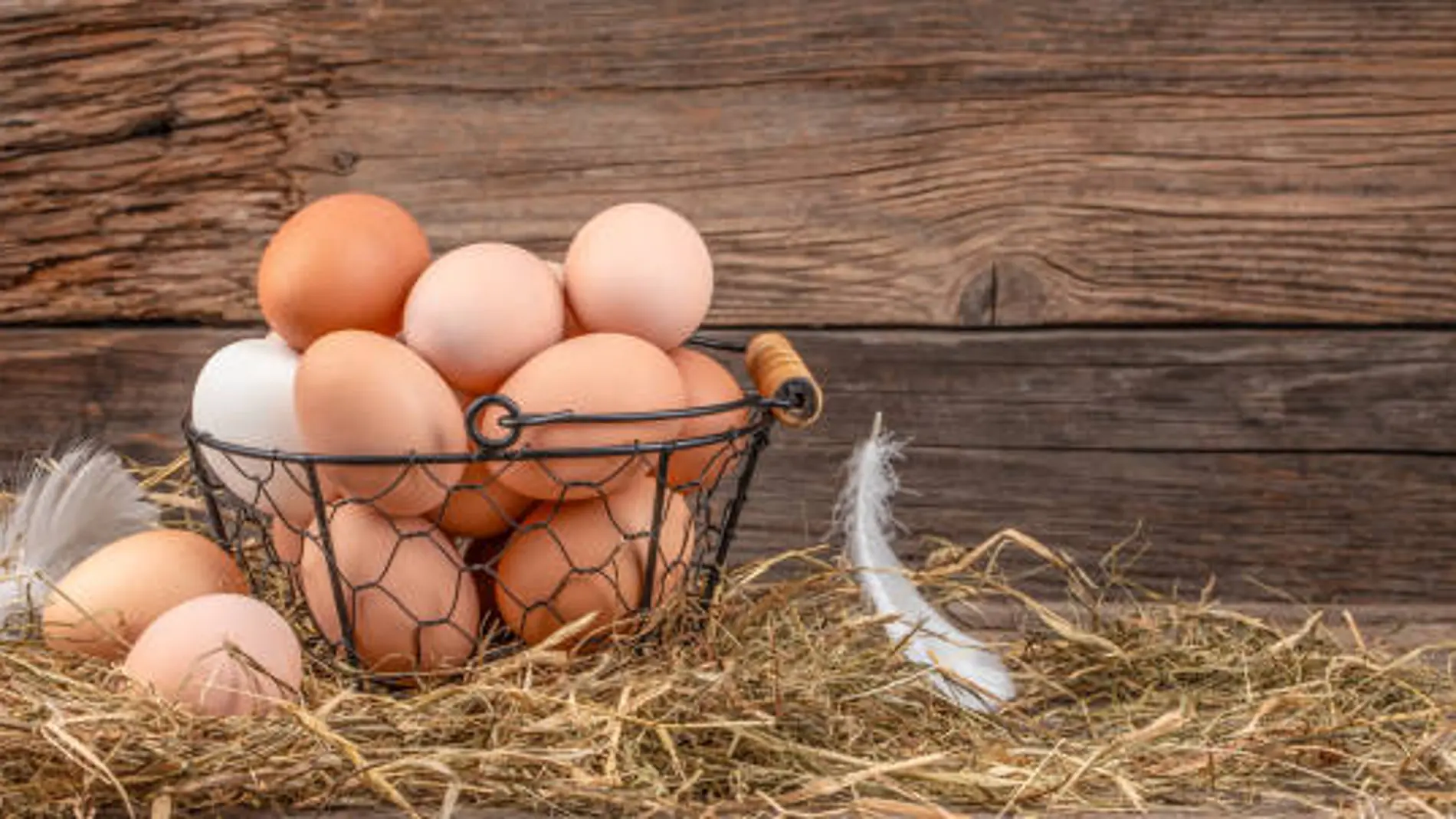 Qué tipos de huevos hay y cuáles tienen más posibilidades de verse afectados por la Gripe Aviar