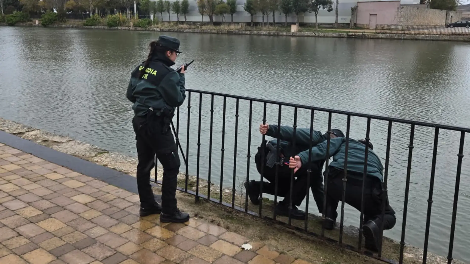 La Guardia Civil, ha intervenido con rapidez y eficacia en un grave incidente ocurrido en la dársena del Canal de Castilla, donde un varón de avanzada edad se encontraba en peligro de ahogamiento