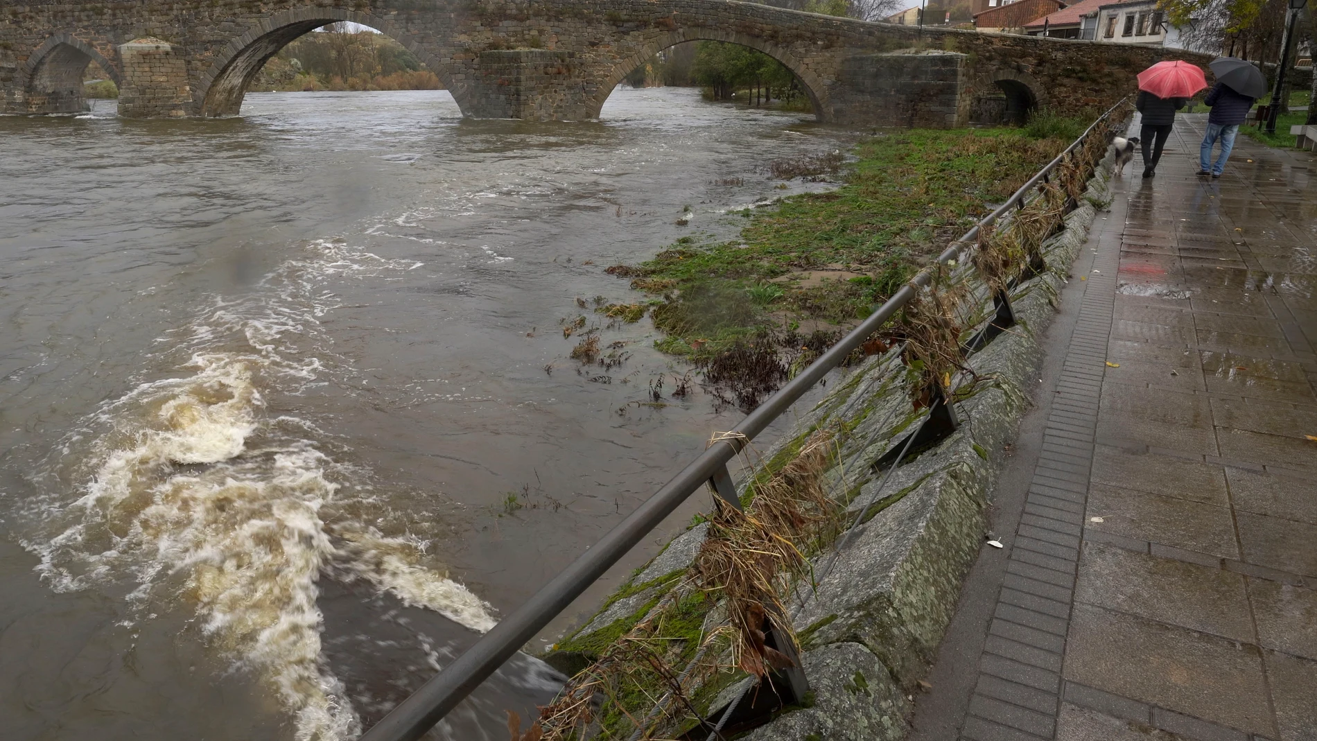 BARCO DE ÁVILA, 14/11/2025.- Vista de el río Tormes a su paso por la localidad abulense de El Barco de Ávila este viernes, después de las lluvias y el viento de las últimas horas que hicieron saltar la alarma en la zona.La borrasca Claudia ha descargado precipitaciones muy intensas las últimas 24 horas en amplias zonas del centro-oeste peninsular, sobre todo en las provincias de Ávila, Salamanca y Cáceres, donde, en algunas áreas las acumulaciones han oscilado entre 176 y 205 litros por metro...