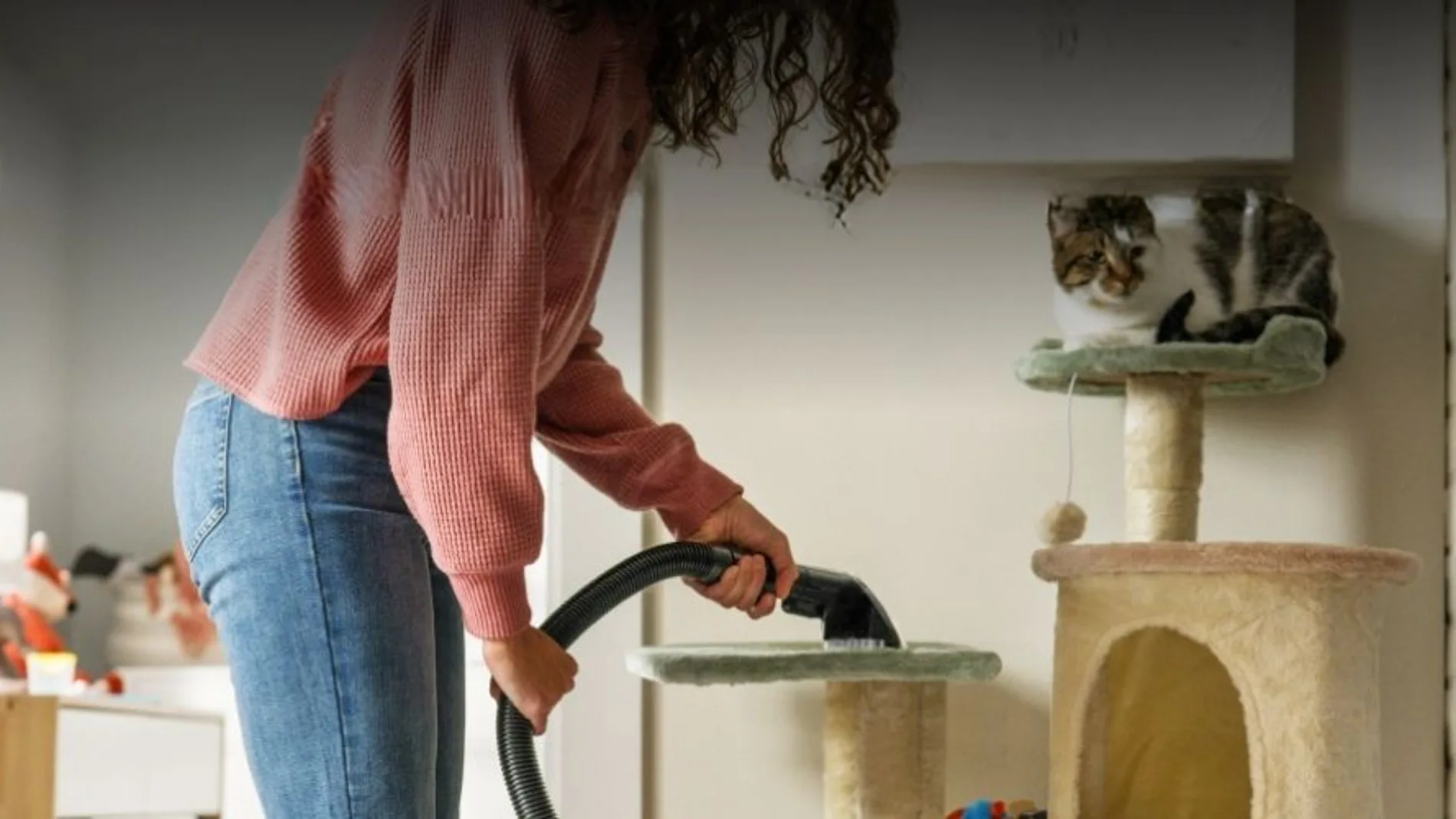 Bissell SpotClean C5