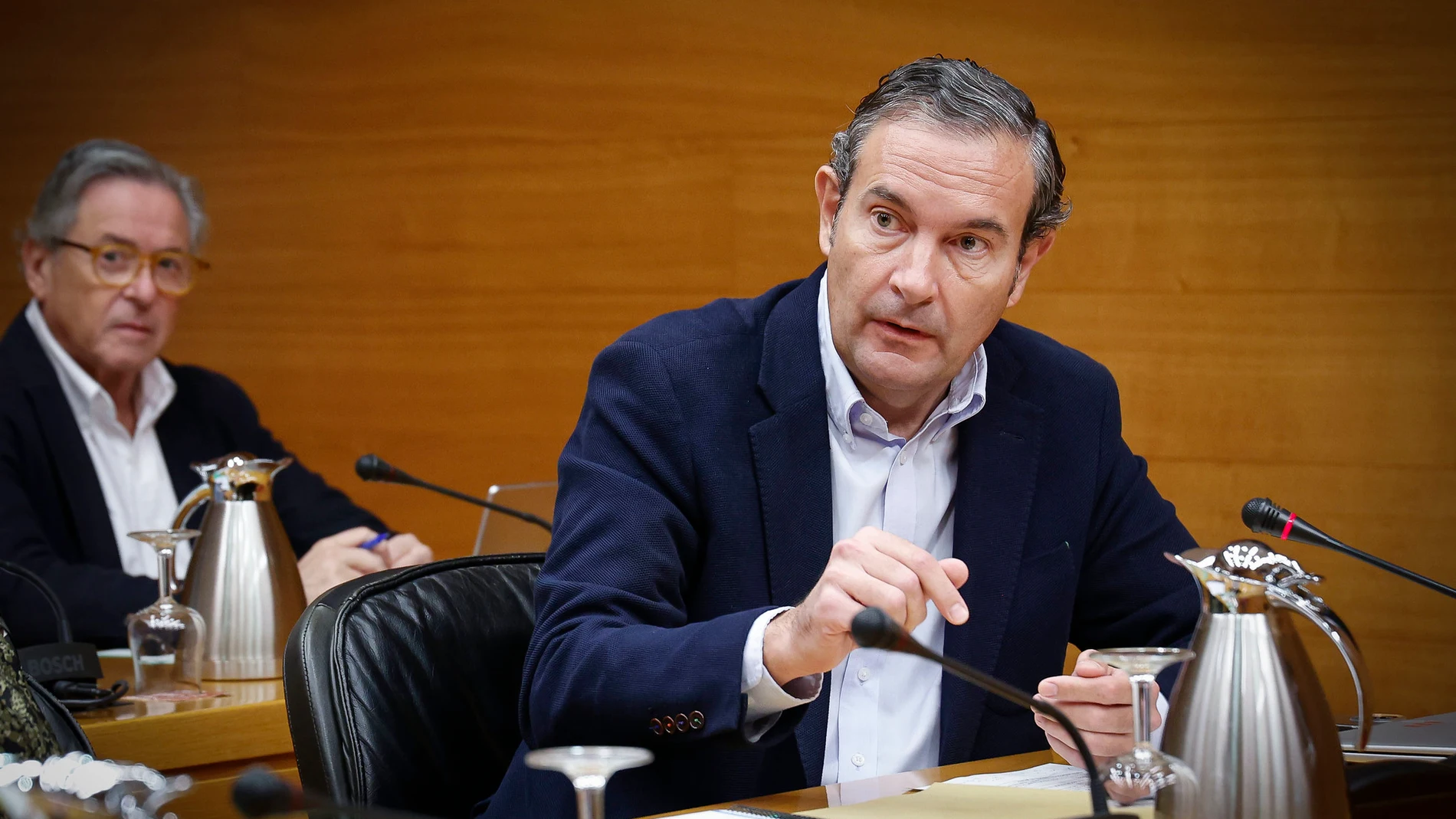 Fernando Pastor sustituirá a Pérez Llorca como síndic del PP en Les Corts