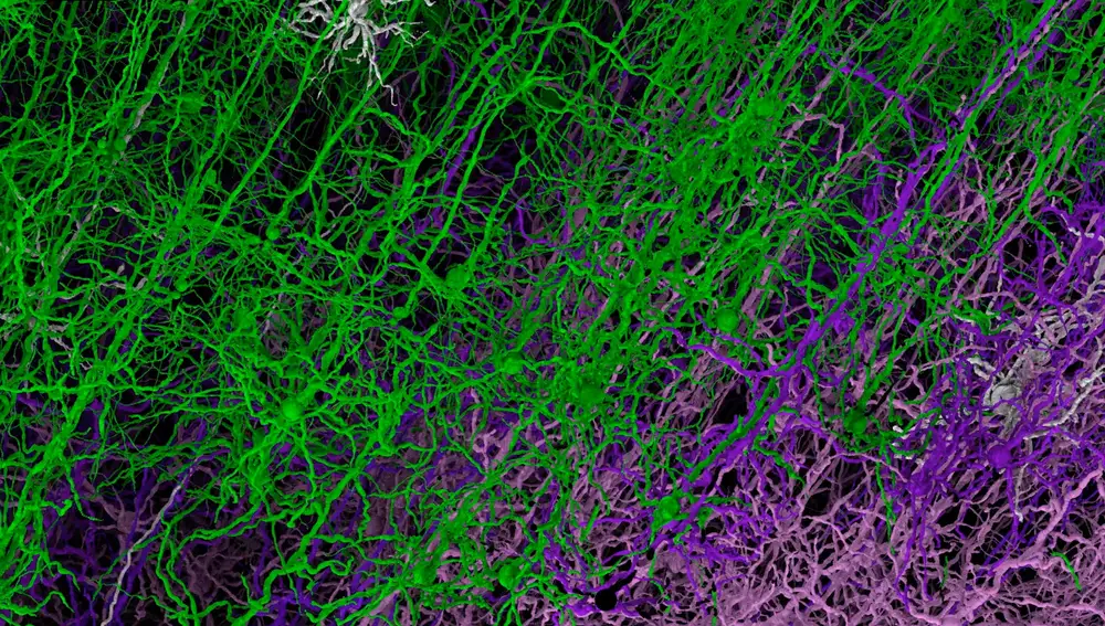 Simulación del superordenador Fugako