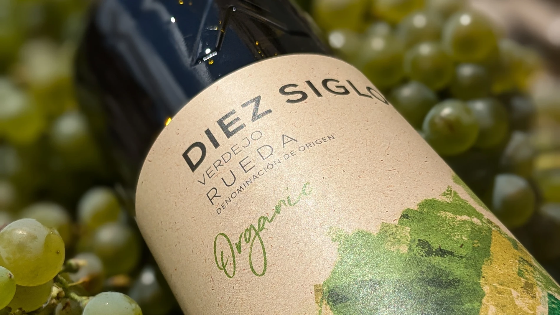 Vino Orgánico Verdejo de la bodega vallisoletana Diez Siglos