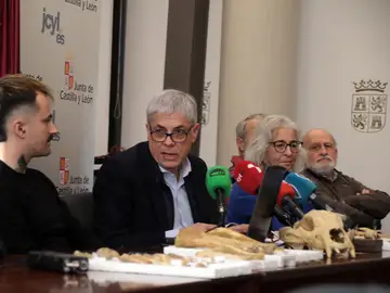 El delegado territorial de la Junta, Eduardo Diego. el coordinador del proyecto y paleobiólogo Darío Fidalgo, la profesora de Paleontología de la Universidad de León, Esperanza Fernández, y el profesor de Prehistoria de la ULE, Carlos Fernández presentan los resultados provisionales de la primera campaña de recuperación de restos de fauna del Cuaternario en cuevas de la provincia de León El delegado territorial de la Junta, Eduardo Diego. el coordinador del proyecto y paleobiólogo Darío Fidalgo, la profesora de Paleontología de la Universidad de León, Esperanza Fernández, y el profesor de Prehistoria de la ULE, Carlos Fernández presentan los resultados provisionales de la primera campaña de recuperación de restos de fauna del Cuaternario en cuevas de la provincia de León