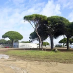 La pedanía de El Colorado, en Conil (Cádiz), alberga numerosas viviendas fuera de ordenación