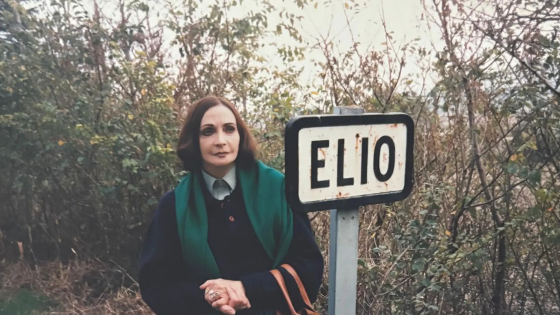 María Luisa Elío, en uno de los fallidos viajes en los que intentaba entrar a su casa