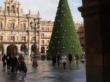 Árbol de Navidad en la Plaza Mayor de Salamanca Árbol de Navidad en la Plaza Mayor de Salamanca