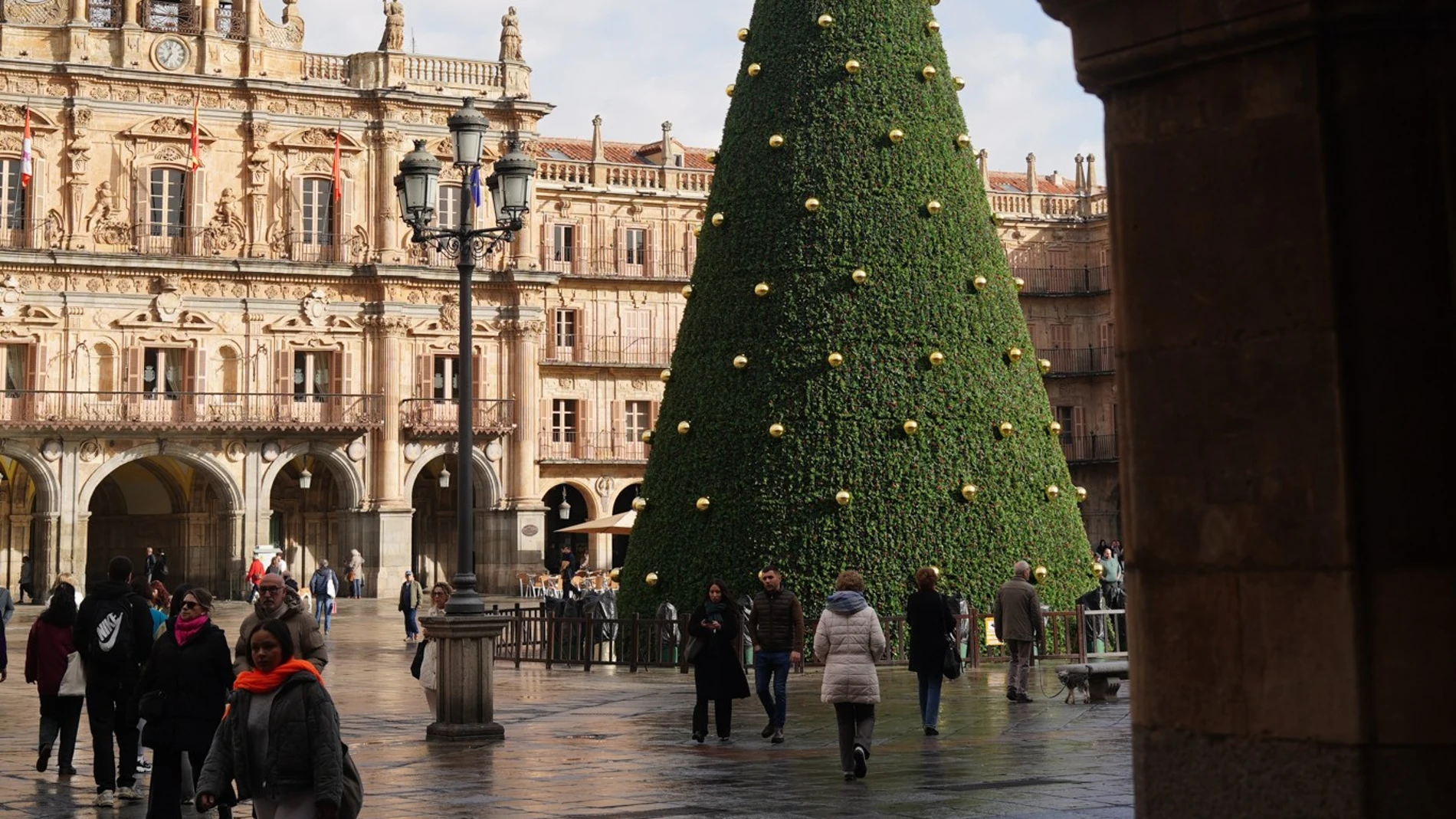 Árbol de Navidad en la Plaza Mayor de Salamanca