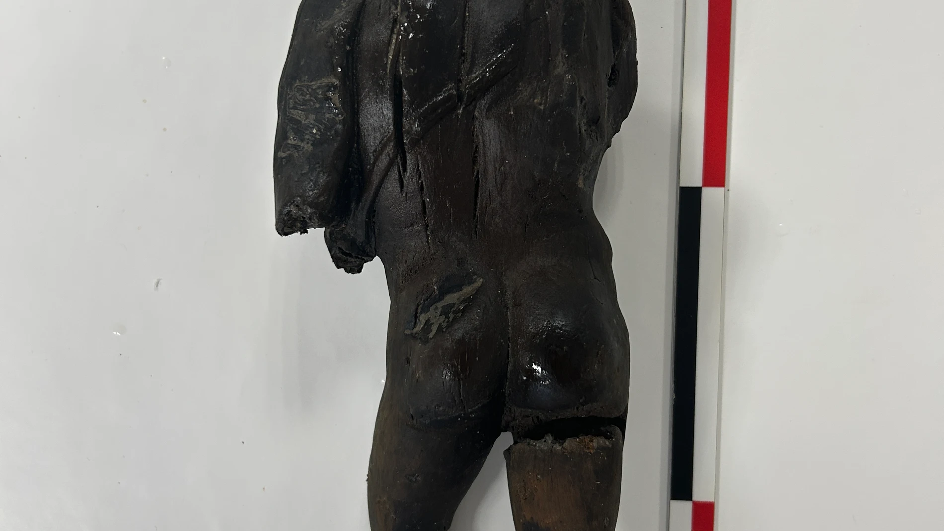 IBIZA, 21/11/2025.-Una talla de madera de estilo grecorromano del héroe Hércules de unos 1.700 años de antigüedad ha sido hallada en buenas condiciones sumergida en el nivel freático durante una excavación arqueológica en el centro de la ciudad de Ibiza. Junto a esta escultura clásica han aparecido otros restos orgánicos como una suela de cuero, abundantes fragmentos de madera, semillas, higos y hasta una granada aplastada, según ha detallado la arqueóloga Glenda Graziani, que dirige la inter...