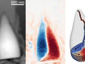 Retrato de los "fósiles magnéticos" encontrados en fondos marinos Navegación dinosaurios