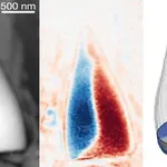 Retrato de los "fósiles magnéticos" encontrados en fondos marinos