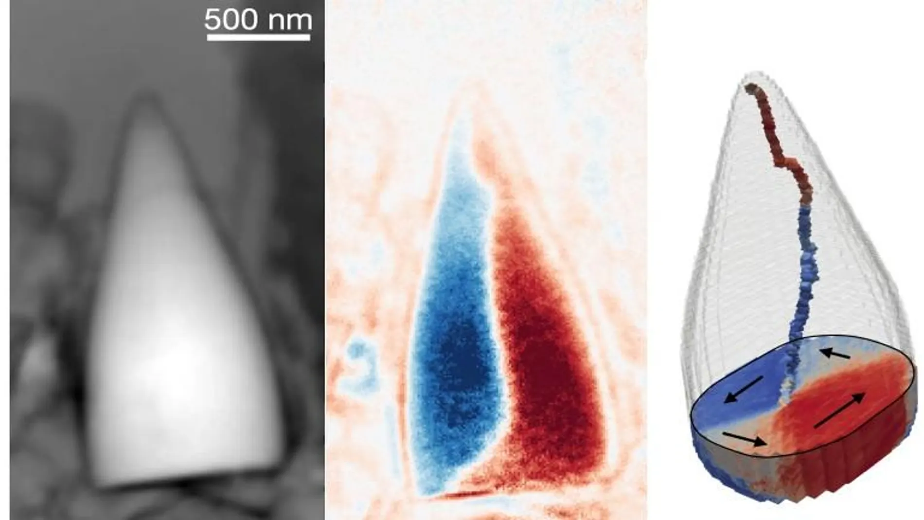 Navegación dinosaurios