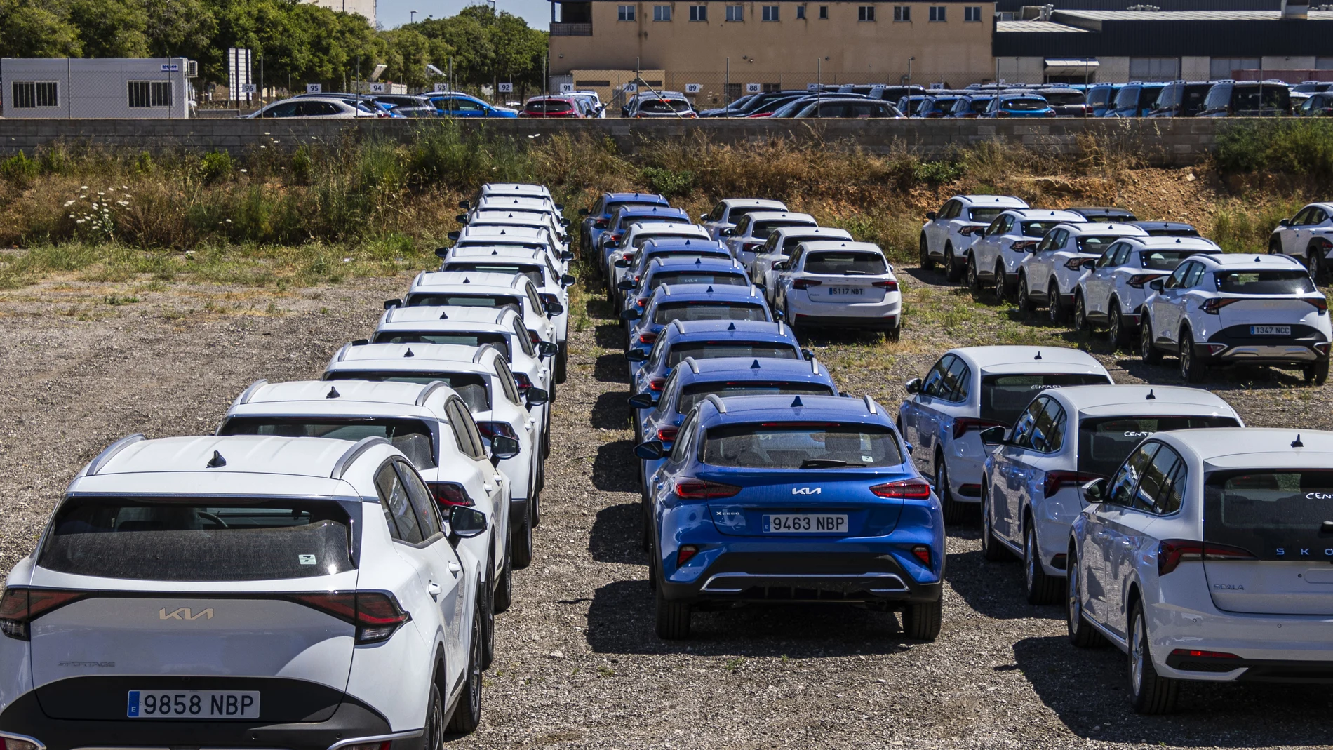 PALMA, 31/05/2025.- Solar lleno de coches de alquiler en el Poligono de Son Homs , cerca del Aeropuerto de Son San Joan, en Mallorca. Ibiza limitará a partir de este domingo la entrada de vehículos desde la Península, una medida para aliviar la presión turística instaurada por primera vez en España hace siete años en Formentera, que se implantará en 2026 en Mallorca y se estudia extender también a Menorca. EFE/ Cati Cladera
