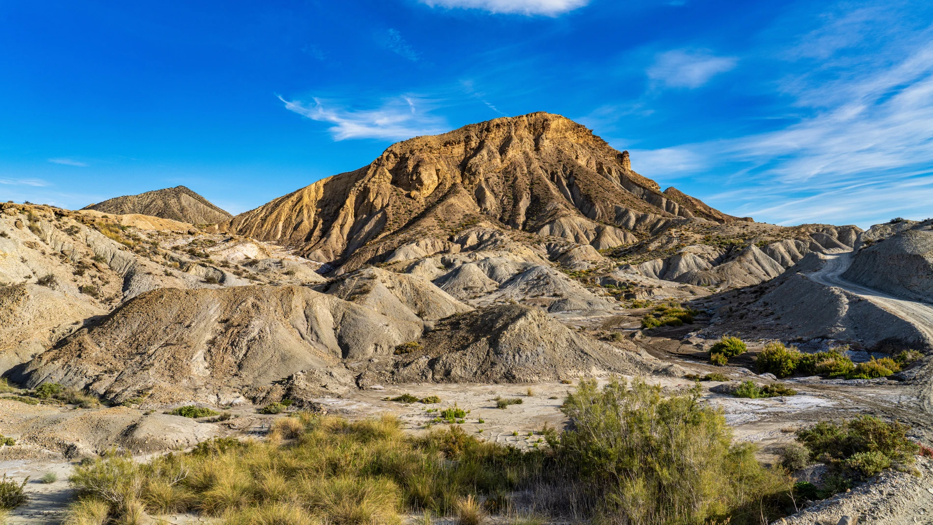 La desertificación es unos de los retos ambientales más importantes para las próximas décadas