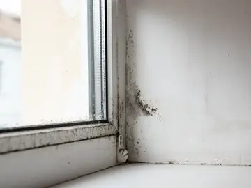 Un cristal empañado y con moho Un cristal empañado y con moho