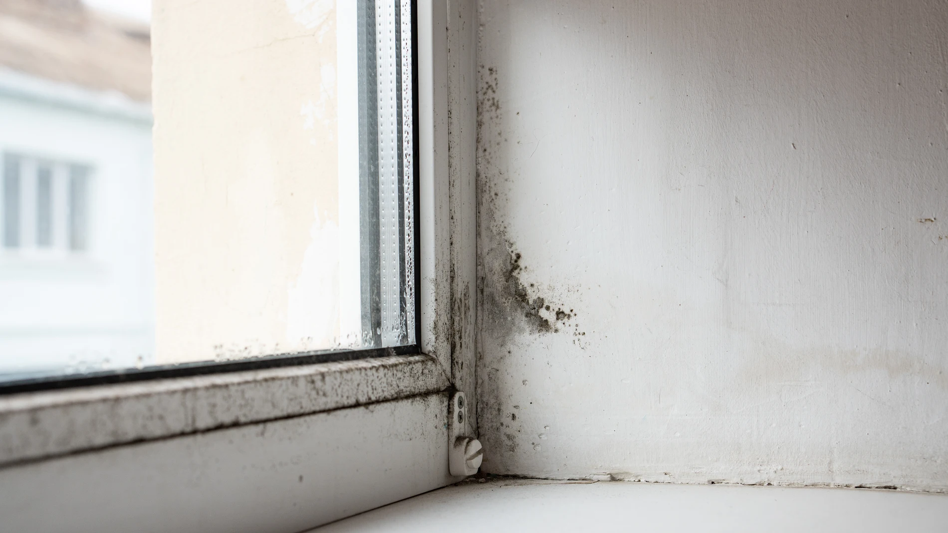 Un cristal empañado y con moho