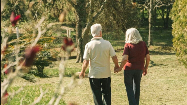 Cirujano vascular revela tres hábitos naturales clave para mantener las arterias saludables y proteger tu corazón Cirujano vascular revela tres hábitos naturales clave para mantener las arterias saludables y proteger tu corazón