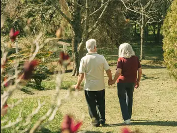 Cirujano vascular revela tres hábitos naturales clave para mantener las arterias saludables y proteger tu corazón Cirujano vascular revela tres hábitos naturales clave para mantener las arterias saludables y proteger tu corazón