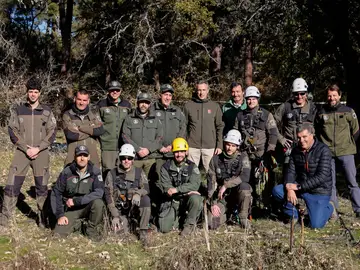 Madrid realiza más de 140 actuaciones en nidos para la protección de las aves amenazadas en la región Madrid realiza más de 140 actuaciones en nidos para la protección de las aves amenazadas en la región