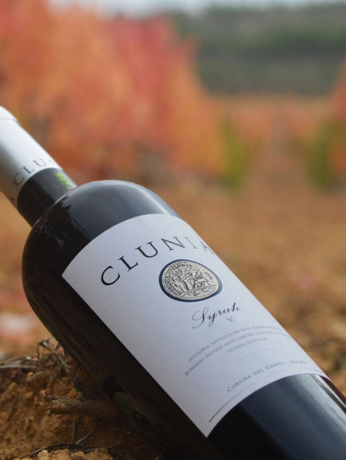 Clunia Syrah