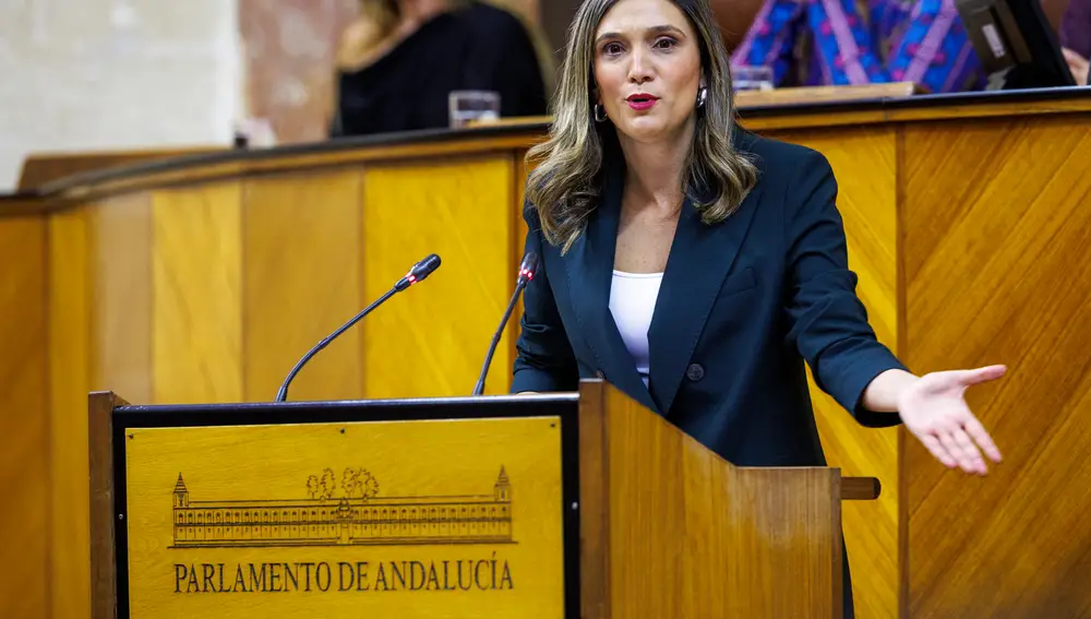 Debate de la Comunidad en el Parlamento de Andalucía en Sevilla