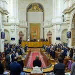 La totalidad de los parlamentarios secund&oacute; el minuto de silencio en recuerdo a las v&iacute;ctimas de la violencia de g&eacute;nero