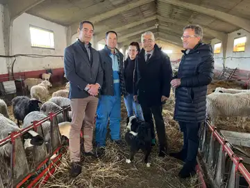 El director general de la PAC, Ángel Gómez, durante su visita a una explotación mixta agrícola y de ovino, de raza churra, en Oquillas, Burgos. El director general de la PAC, Ángel Gómez, durante su visita a una explotación mixta agrícola y de ovino, de raza churra, en Oquillas, Burgos.