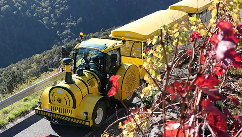 El tren sn su recorrido.