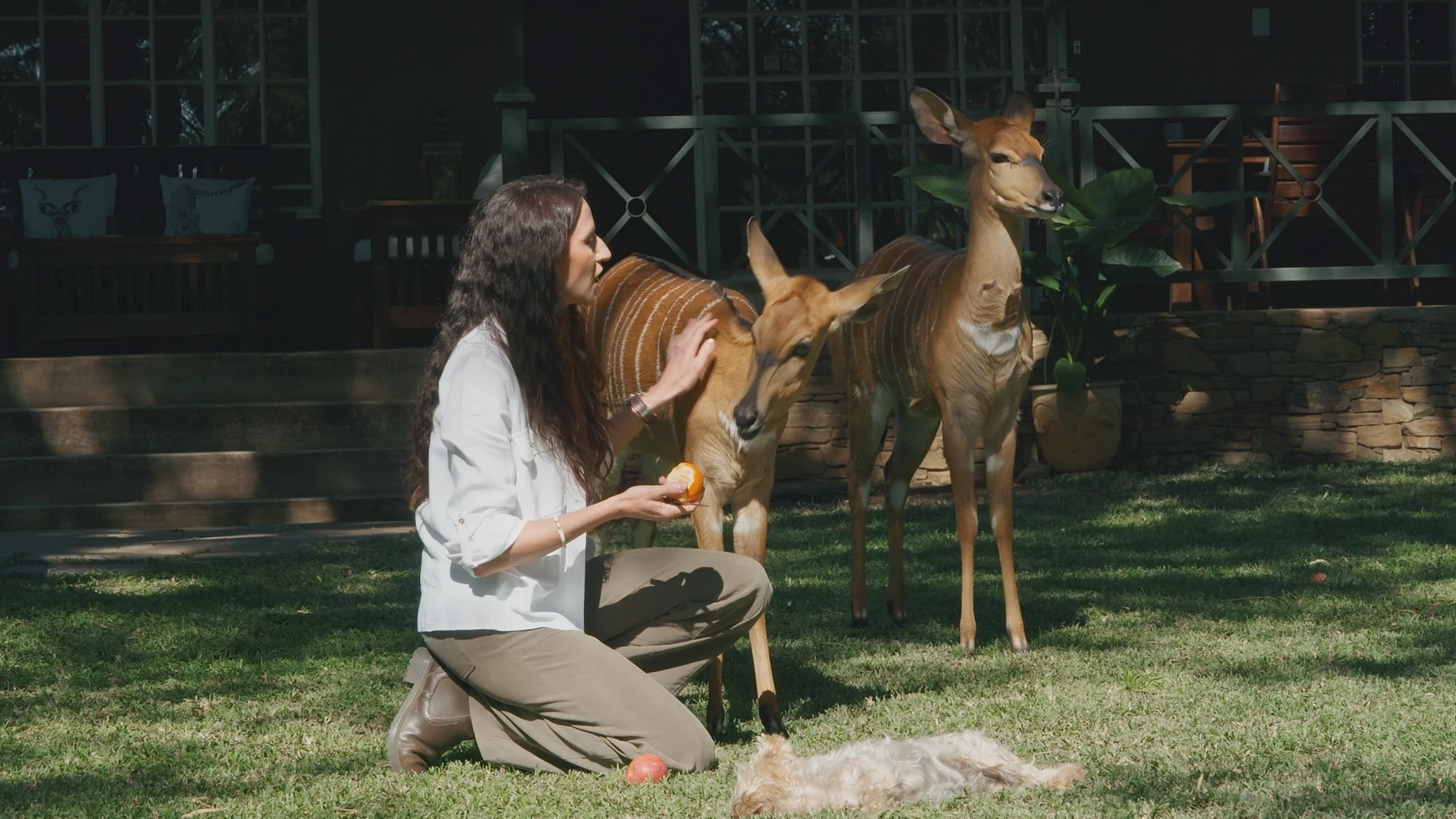 'Dra. Fabiola Jones'