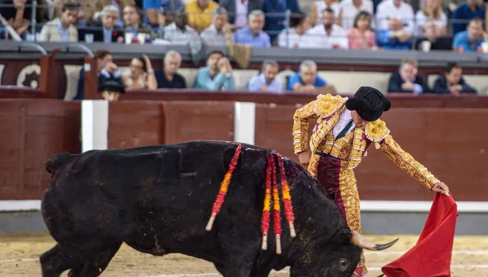 "Jarocho" toreando al natural