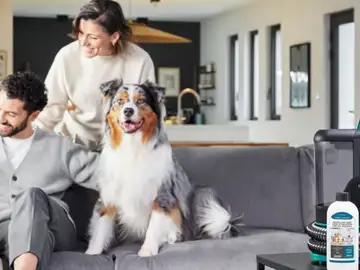 Todo apunta a un error de precio, pero es real: este aspirador Rowenta para tapicerías está al 36% de descuento Rowenta Clean It IN5020F0