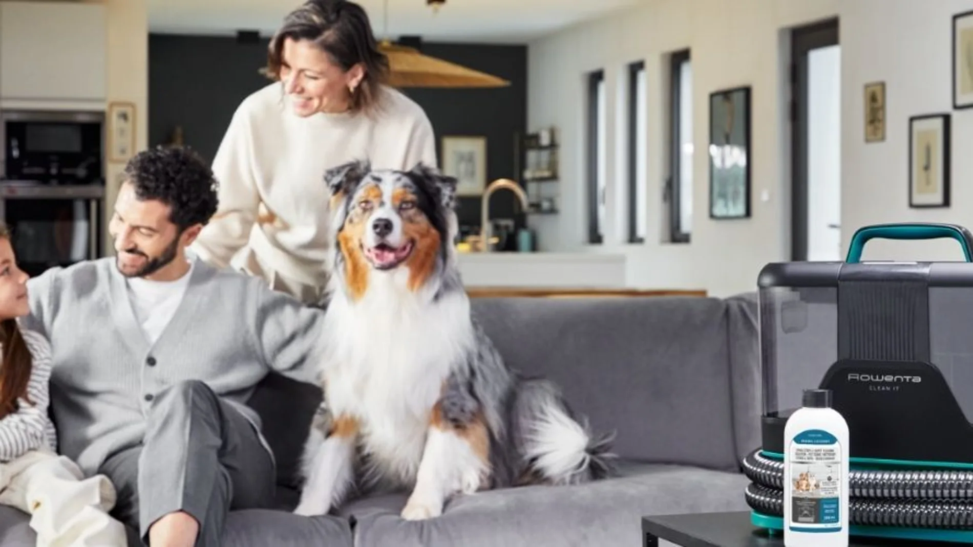 Rowenta Clean It IN5020F0