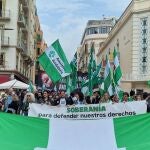  Manifestación por el 4D en Málaga