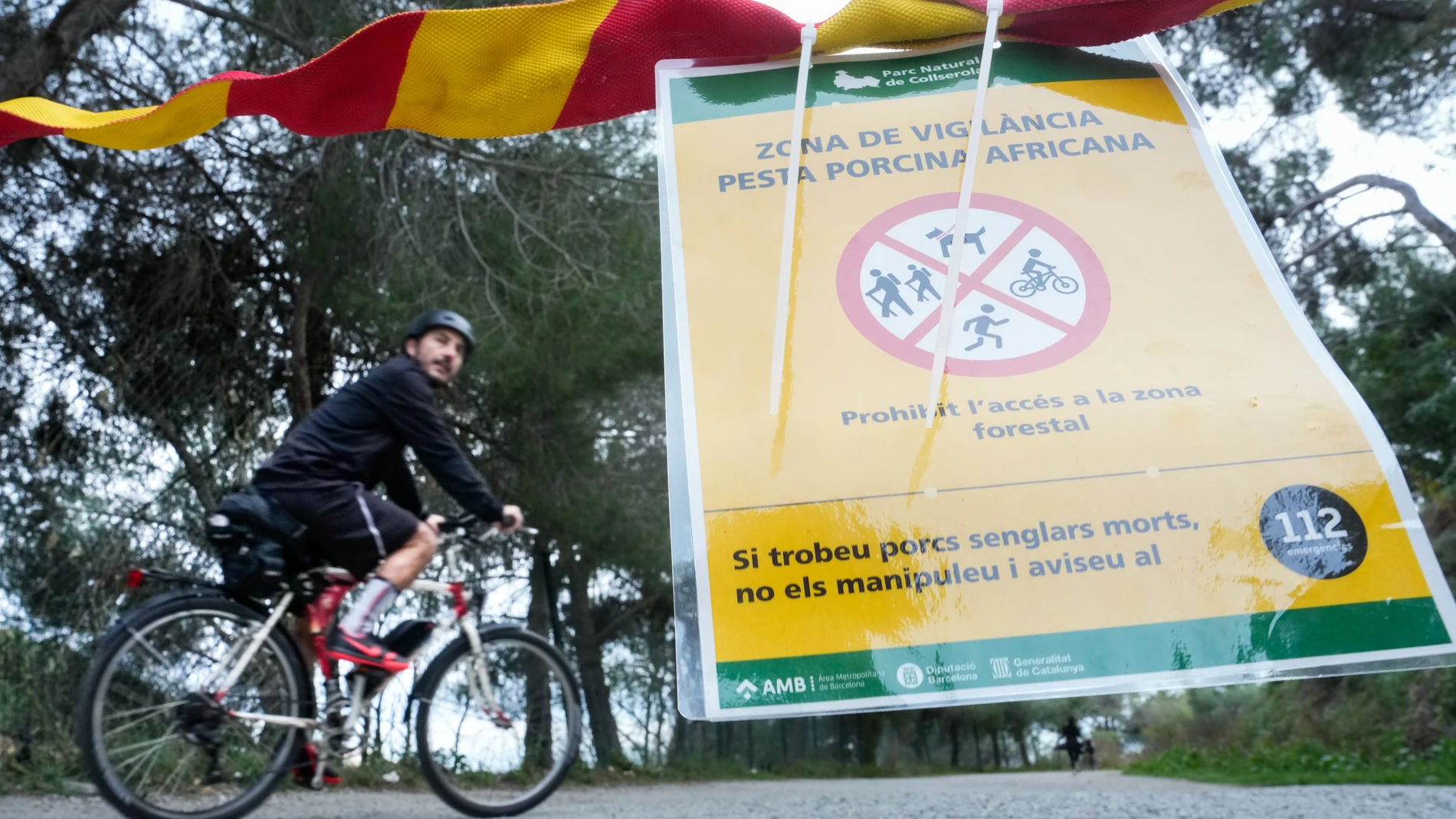 BARCELONA 30/11/2025.- Vista de uno de los carteles situados en los accesos al Parque Natural de Collserola, alertando de la presencia de la peste porcina. Otros ocho jabalíes muertos han sido hallados en la misma zona de la sierra de Collserola (Barcelona) en la que esta semana han aparecido los cuerpos de seis animales de esta especie que murieron por peste porcina africana (PPA). EFE/Enric Fontcuberta