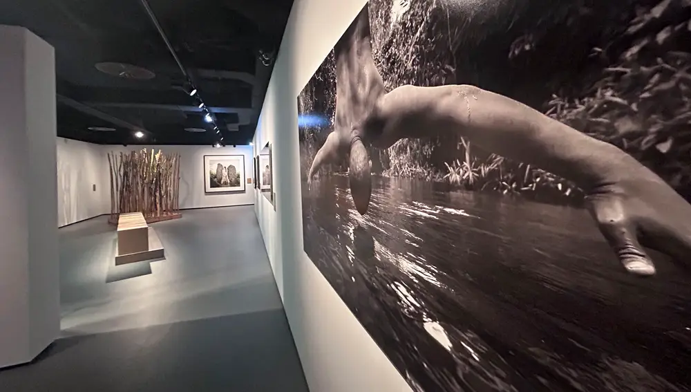 Aniversario de la apertura del centro de la FMCMP