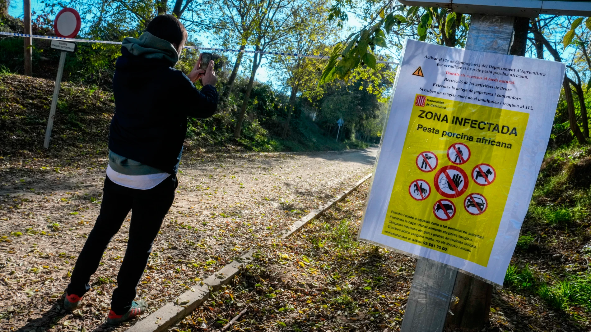 FOTODELDIA GRAFCAT5210. BARCELONA, 01/12/2025.- Aspecto de uno de los accesos al Parque Natural de Collserola, alertando de la presencia de la peste porcina hallada en jabalíes autóctonos de la zona, este lunes, cuando se ha activado a 117 efectivos y 25 vehículos de la Unidad Militar de Emergencias (UME), que llegarán a lo largo del día, para ayudar a controlar la Peste Porcina Africana (PPA), cuando ya se han confirmado seis jabalíes infectados. EFE/Enric Fontcuberta