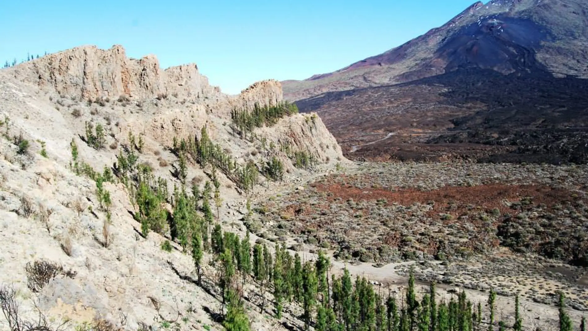 Parque Nacional del Teide, Tenerife