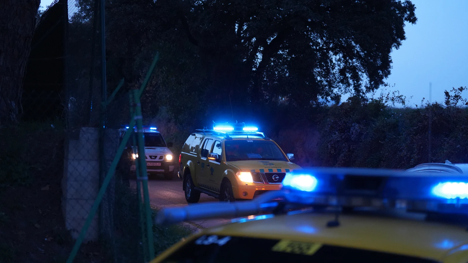 Despliegue de los equipos de la Federación de Agrupaciones de Defensa Forestal Penedès/Garraf, a 1 de diciembre de 2025, en Barcelona, Catalunya (España). España ha vuelto a registrar casos de peste porcina africana, una enfermedad que no se detectaba en el país desde su erradicación en 1994. El foco actual se sitúa en la sierra de Collserola (Barcelona), donde han aparecido muertos 14 jabalíes, lo que ha llevado a la Generalitat a imponer medidas restrictivas para frenar el avance del virus ...