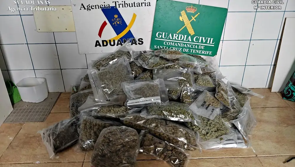 Cae en Tenerife una red de clubes cannábicos usados como tapadera para distribuir droga: 14 detenidos