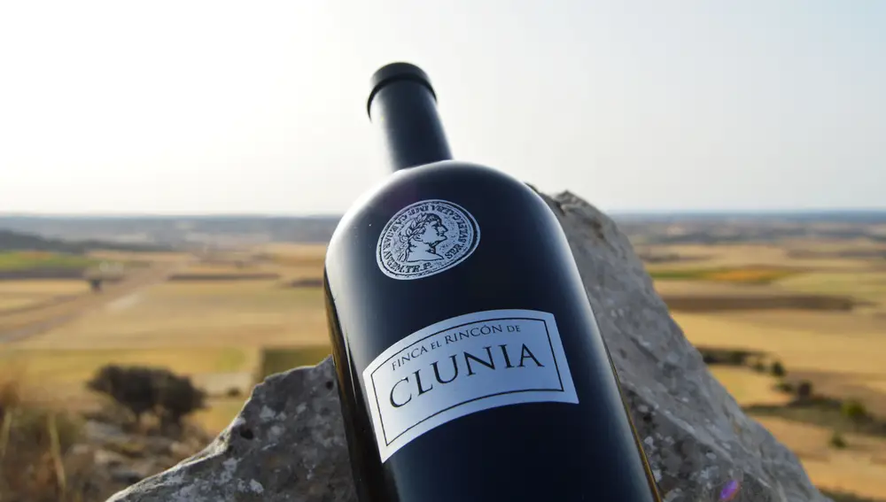 Los viñedos de Clunia se encuentran ubicados entre 900 y 1.100m de altura en la provincia de Burgos.