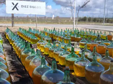 Damajuanas de la Bodega Diez Siglos Damajuanas de la Bodega Diez Siglos