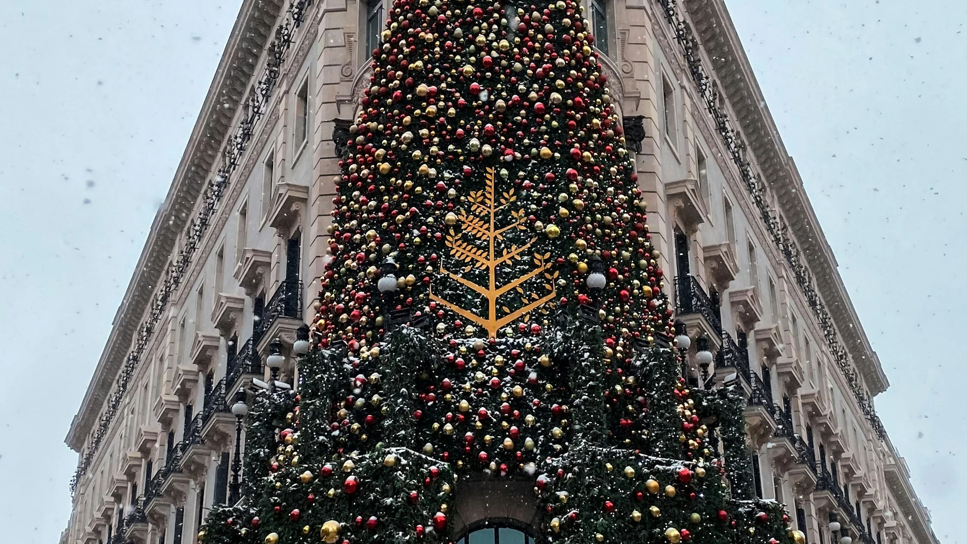 Qué hacer en Madrid el Día de la Constitución: eventos, mercadillos y planes navideños para todos