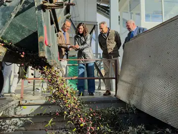 La presidenta, Isabel Díaz Ayuso, visita una plantación de aceitunas La presidenta, Isabel Díaz Ayuso, visita una plantación de aceitunas