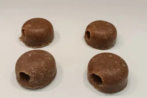 Peste porcina africana: cerdos y jabalíes requieren dos formas distintas de inocular la futura vacuna Peste porcina africana: cerdos y jabalíes requieren dos formas distintas de inocular la futura vacuna