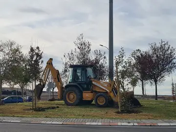 Plantación de árboles en Salamanca Plantación de árboles en Salamanca
